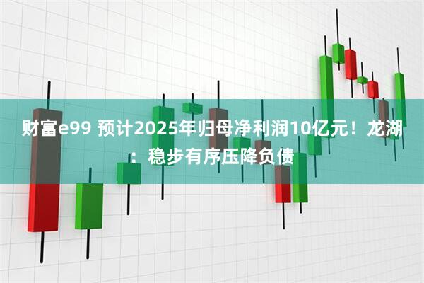 财富e99 预计2025年归母净利润10亿元！龙湖：稳步有序压降负债