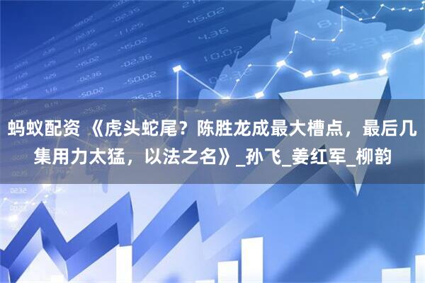 蚂蚁配资 《虎头蛇尾?陈胜龙成最大槽点,最后几集用力太猛,以法之名》_孙飞_姜红军_柳韵